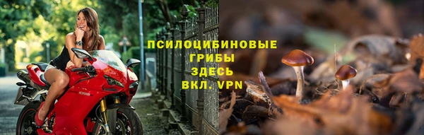 дурь Арсеньев