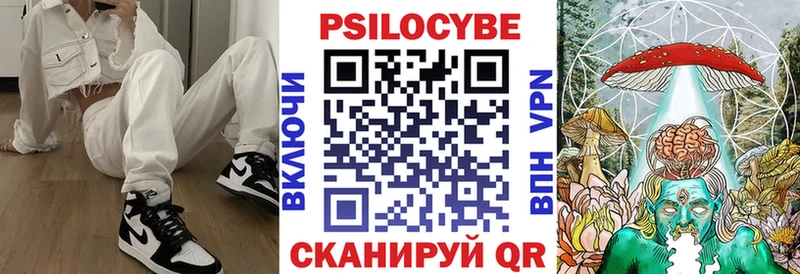 гидра   Темрюк  Галлюциногенные грибы GOLDEN TEACHER 