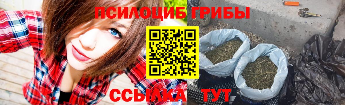 Темрюк  Галлюциногенные грибы GOLDEN TEACHER  Псилоцибиновые грибы мухоморы  дарнет шоп  Вход с VPN 